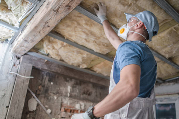 Best Insulation Maintenance and Repair in Gardere, LA